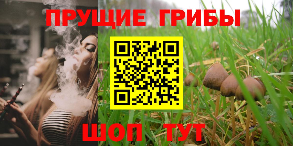 Галлюциногенные грибы MAGIC MUSHROOMS  Галлюциногенные грибы прущие грибы  Камышлов  Вход с VPN 